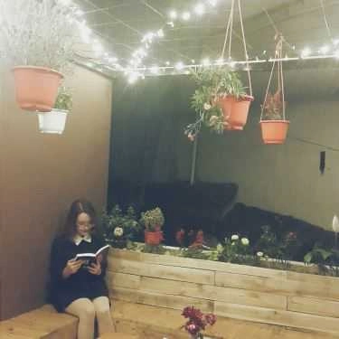 Tổng hợp- Tổ Chim Xanh - Bluebirds'Nest Book Cafe