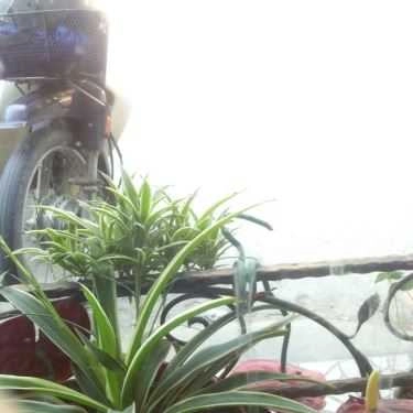 Tổng hợp- Bluebean Coffee House - Chùa Bộc