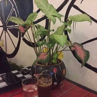 Không gian- Buratino Coffee