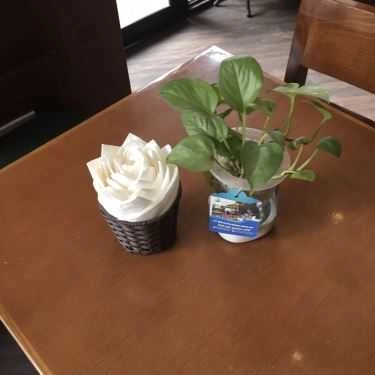Tổng hợp- Cà 9 - Cafe Sạch & Trái Cây Chín - Duy Tân