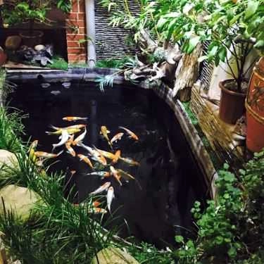 Không gian- Cà Phê Cá Cảnh - Aquaview Cafe