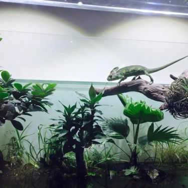 Không gian- Cà Phê Cá Cảnh - Aquaview Cafe