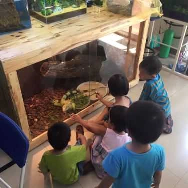 Tổng hợp- Cà Phê Cá Cảnh - Aquaview Cafe