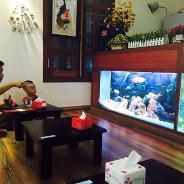 Không gian- Cà Phê Cá Cảnh - Aquaview Cafe
