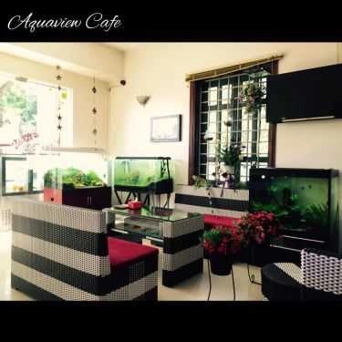 Không gian- Cà Phê Cá Cảnh - Aquaview Cafe