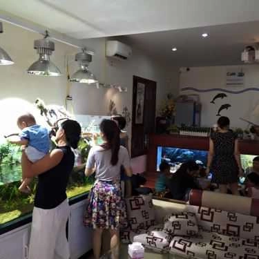 Không gian- Cà Phê Cá Cảnh - Aquaview Cafe