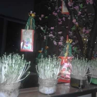 Tổng hợp- Cầu May Cafe