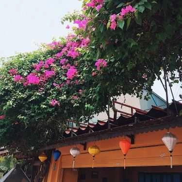 Không gian- Cà Phê Cúc Cu - Hồ Văn Quán