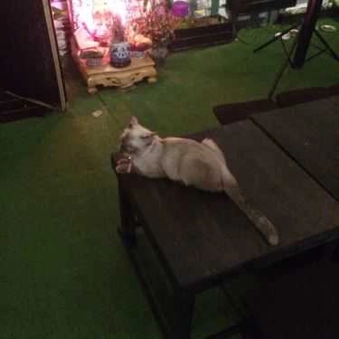 Tổng hợp- Chokin Cafe