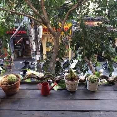 Tổng hợp- Chokin Cafe