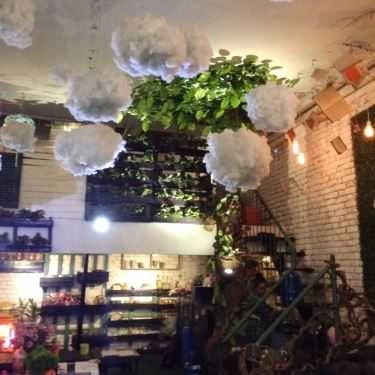 Tổng hợp- Chokin Cafe