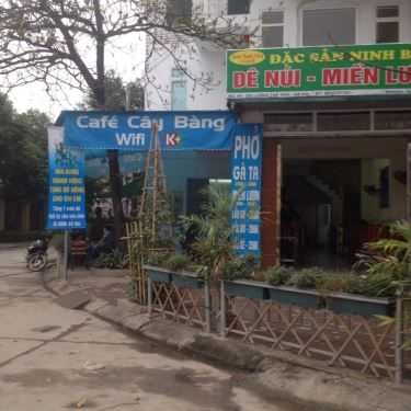 Tổng hợp- Cây Bàng Cafe Wifi