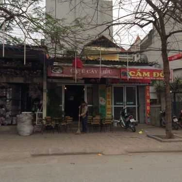 Tổng hợp- Cafe Cây Liễu
