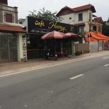 Tổng hợp- Hương Cafe - Ngọc Thụy