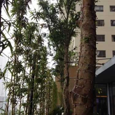Tổng hợp- Cafe 69