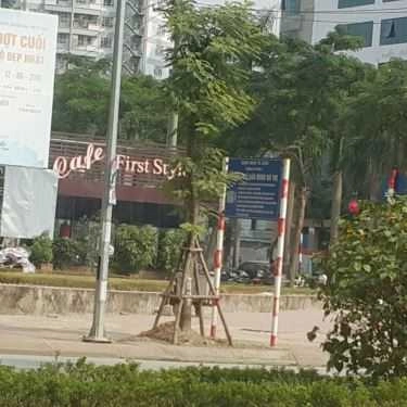 Tổng hợp- First Style Cafe