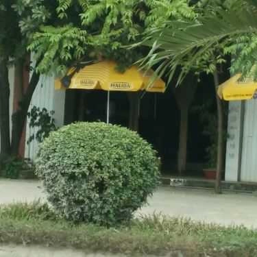 Tổng hợp- Phùng Cafe