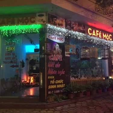Tổng hợp- Cafe Mộc - Nguyễn Viết Xuân