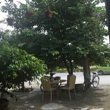 Không gian- Music Cafe - Văn Tiến Dũng