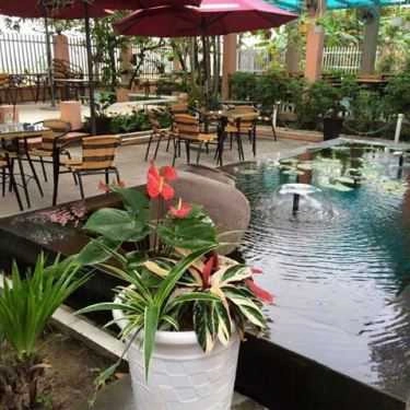 Tổng hợp- Cafe Nghiêng - Sơn Đồng