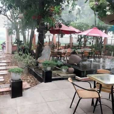 Tổng hợp- Cafe Nghiêng - Sơn Đồng