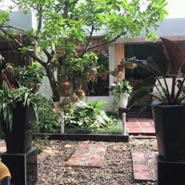 Tổng hợp- Cafe Nghiêng - Sơn Đồng