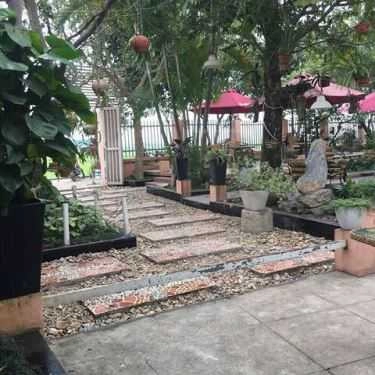 Tổng hợp- Cafe Nghiêng - Sơn Đồng