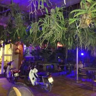 Tổng hợp- Cafe Ngõ Nhỏ - Lâm Du