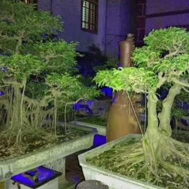 Tổng hợp- Cafe Ngõ Nhỏ - Lâm Du