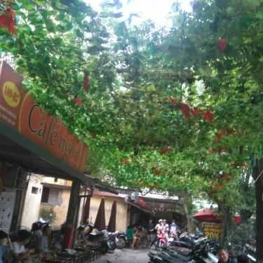 Tổng hợp- Cafe Ngon - Thanh Xuân Bắc