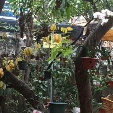 Tổng hợp- Nhím Cafe - Ngọc Thụy