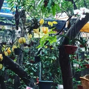 Tổng hợp- Nhím Cafe - Ngọc Thụy