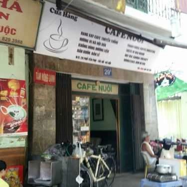 Tổng hợp- Nuôi Cafe