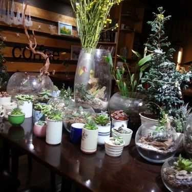 Tổng hợp- Cafe Sách - Nhà Sách Tân Việt