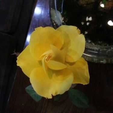 Tổng hợp- Cafe Sách - Nhà Sách Tân Việt