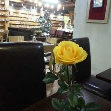 Tổng hợp- Cafe Sách - Nhà Sách Tân Việt
