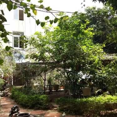 Không gian- Cafe Sân Vườn - Phạm Văn Bạch