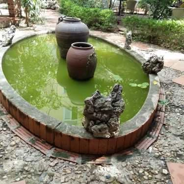 Không gian- Cafe Sân Vườn - Phạm Văn Bạch