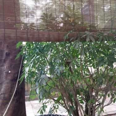 Không gian- Cafe Sân Vườn - Phạm Văn Bạch
