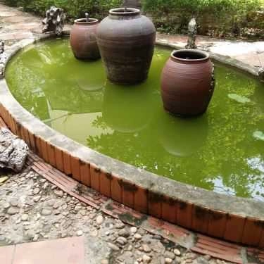 Không gian- Cafe Sân Vườn - Phạm Văn Bạch