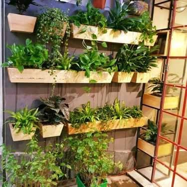 Tổng hợp- Cafe Sách - Tiệm Ký Gửi Sách Bách Khoa