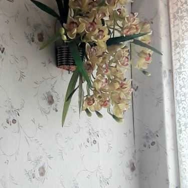 Tổng hợp- Việt Cafe - Cầu Giấy
