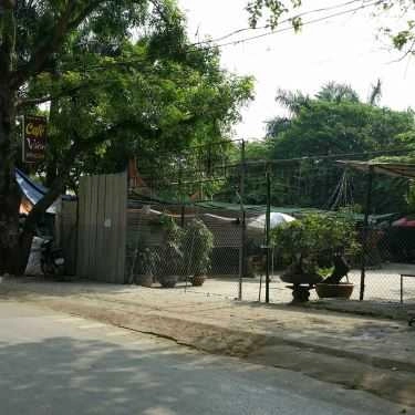Tổng hợp- Vườn Cafe - Cổ Nhuế