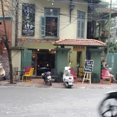 Tổng hợp- Cat Cafe