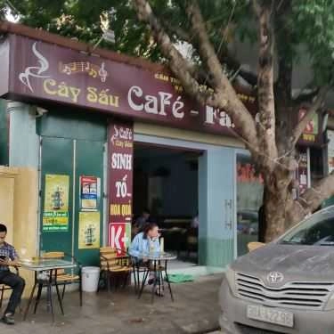 Tổng hợp- Cây Sấu - Cafe & Fast Food