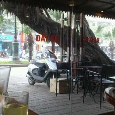 Không gian- Cây Si Cafe - Giảng Võ