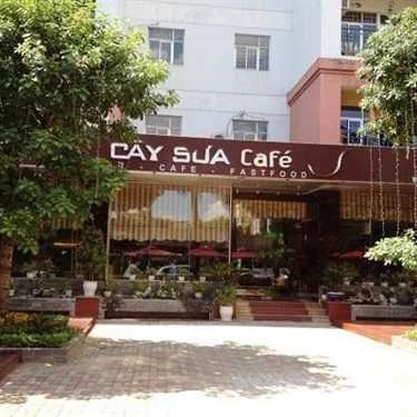 Không gian- Cây Sưa Cafe
