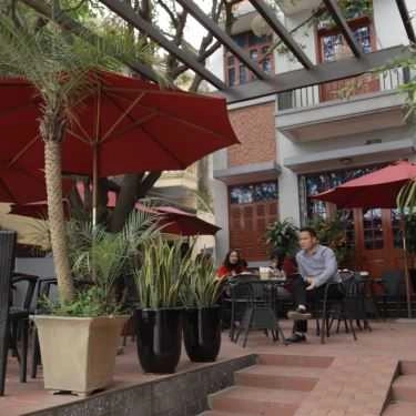 Tổng hợp- Cây Thị Cafe