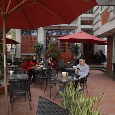 Tổng hợp- Cây Thị Cafe