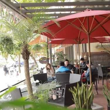 Tổng hợp- Cây Thị Cafe